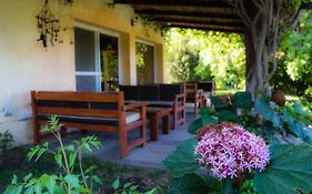 Finca del Rio - Casa de campo